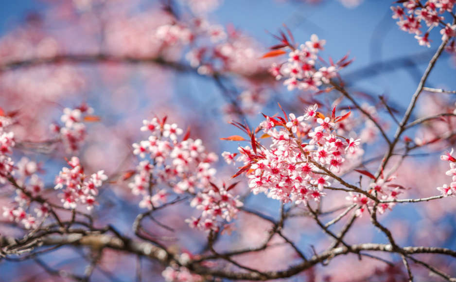 「2019-03-04」It takes a great deal of bravery to stand up to your enemies, but a great deal more to stand up to your friends.美图壁纸