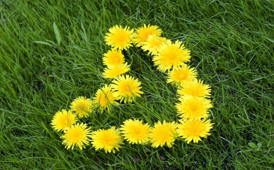 「2019-05-02」Age is an issue of mind over matter. If you don't mind, it doesn't matter.美图壁纸