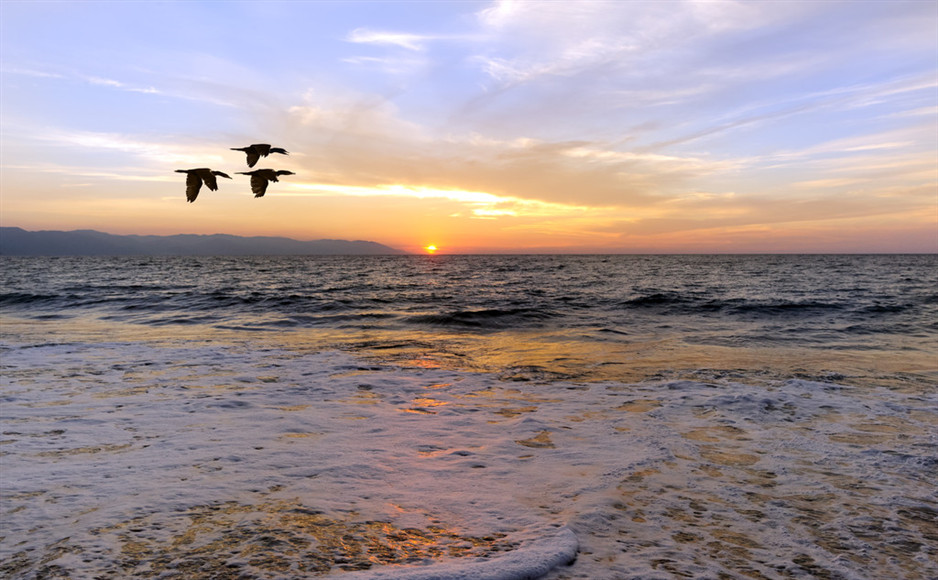 「2019-07-16」Living without an aim is like sailing without a compass.美图壁纸