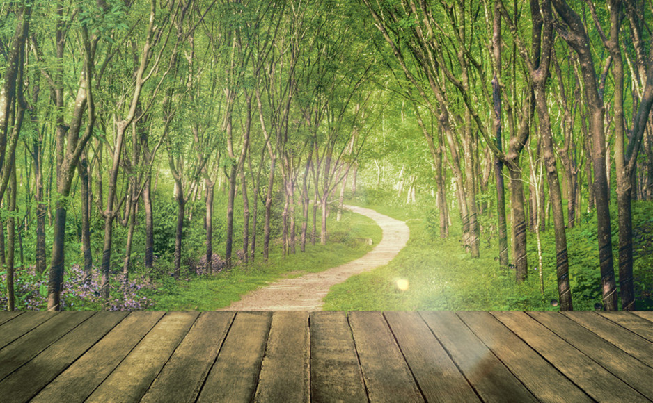 「2019-07-18」Towering genius disdains a beaten path. It seeks regions hitherto unexplored.美图壁纸