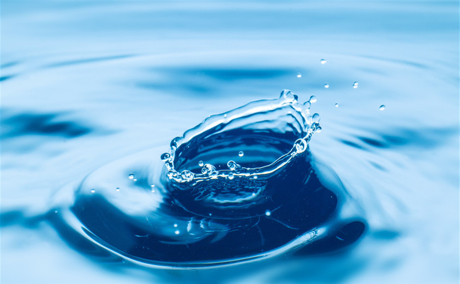 「2019-08-01」What is the most resilient parasite? Bacteria? A virus? An intestinal worm? An idea.美图壁纸