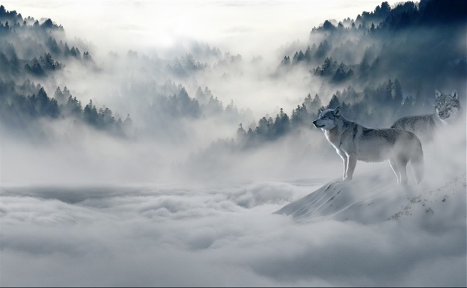 「2019-08-24」I want to bring out the secrets of nature and apply them for the happiness of man. I don't know of any better service to offer for the short time we are in the world.美图壁纸
