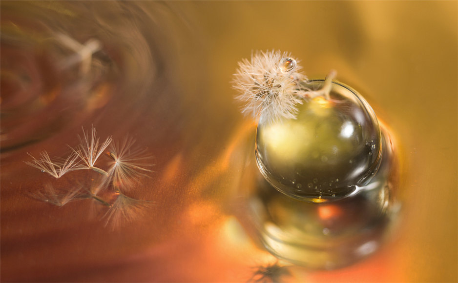 「2019-10-27」True science teaches, above all, to doubt and be ignorant.美图壁纸