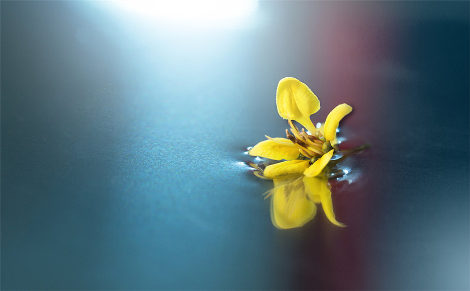 「2019-10-29」To believe with certainty, we must begin with doubting.美图壁纸