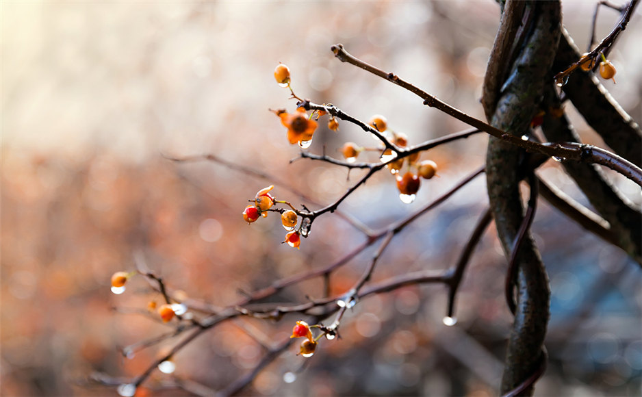 「2019-11-06」We must accept finite disappointment, but we must never lose infinite hope.美图壁纸