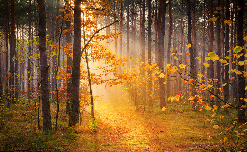 「2019-11-09」Spend each day trying to be a little wiser than you were when you woke up.美图壁纸