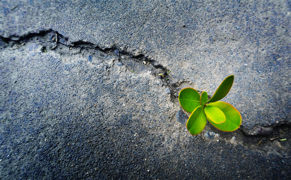 「2019-11-13」Cease to struggle and you cease to live.美图壁纸